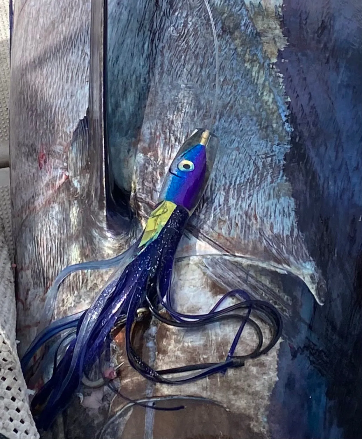 9" Moke Series: Malolo (Flying Fish)