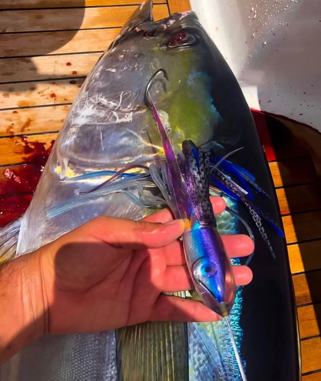 9" Moke Series: Malolo (Flying Fish)