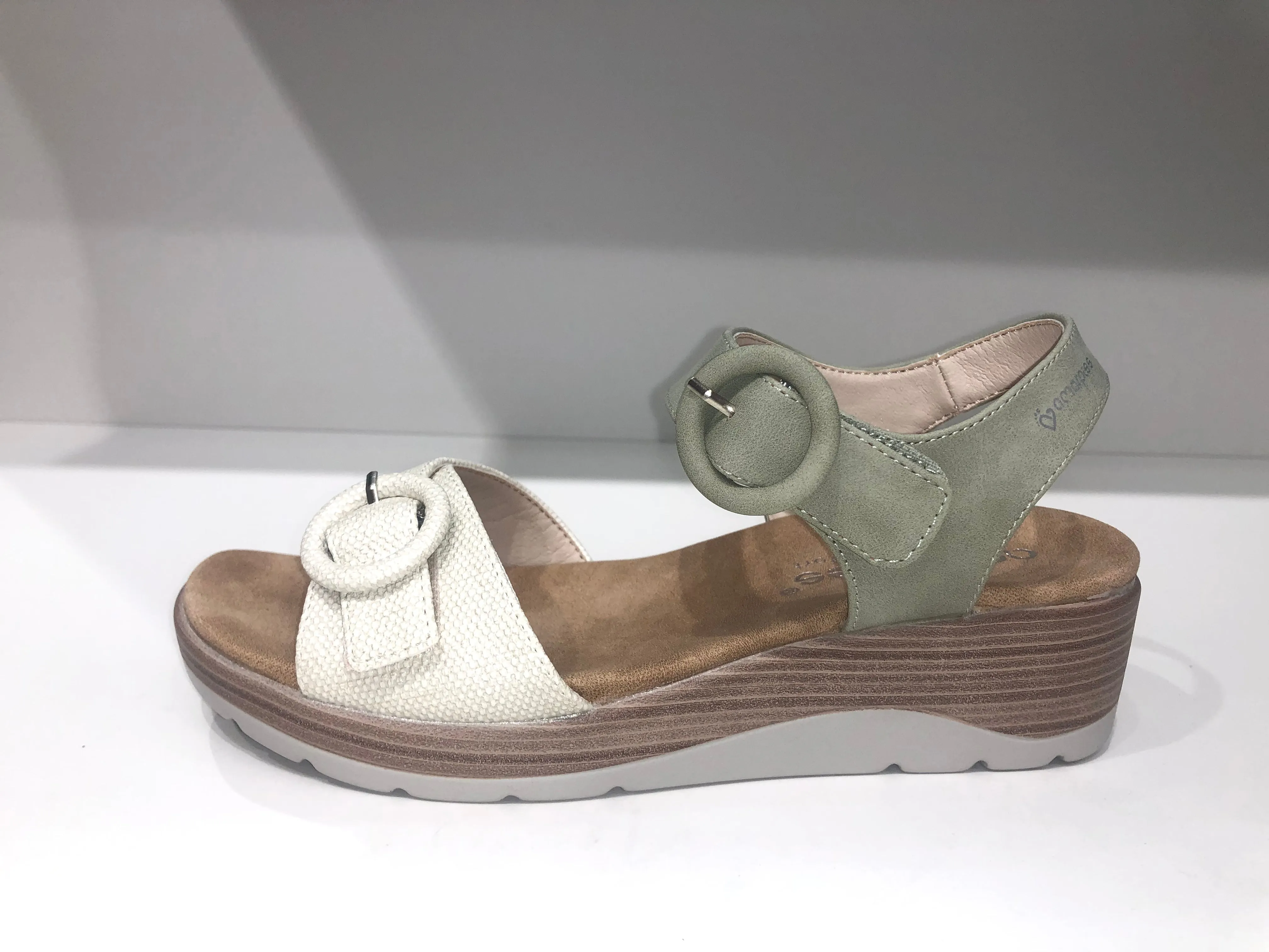 ABZ26568 GREEN