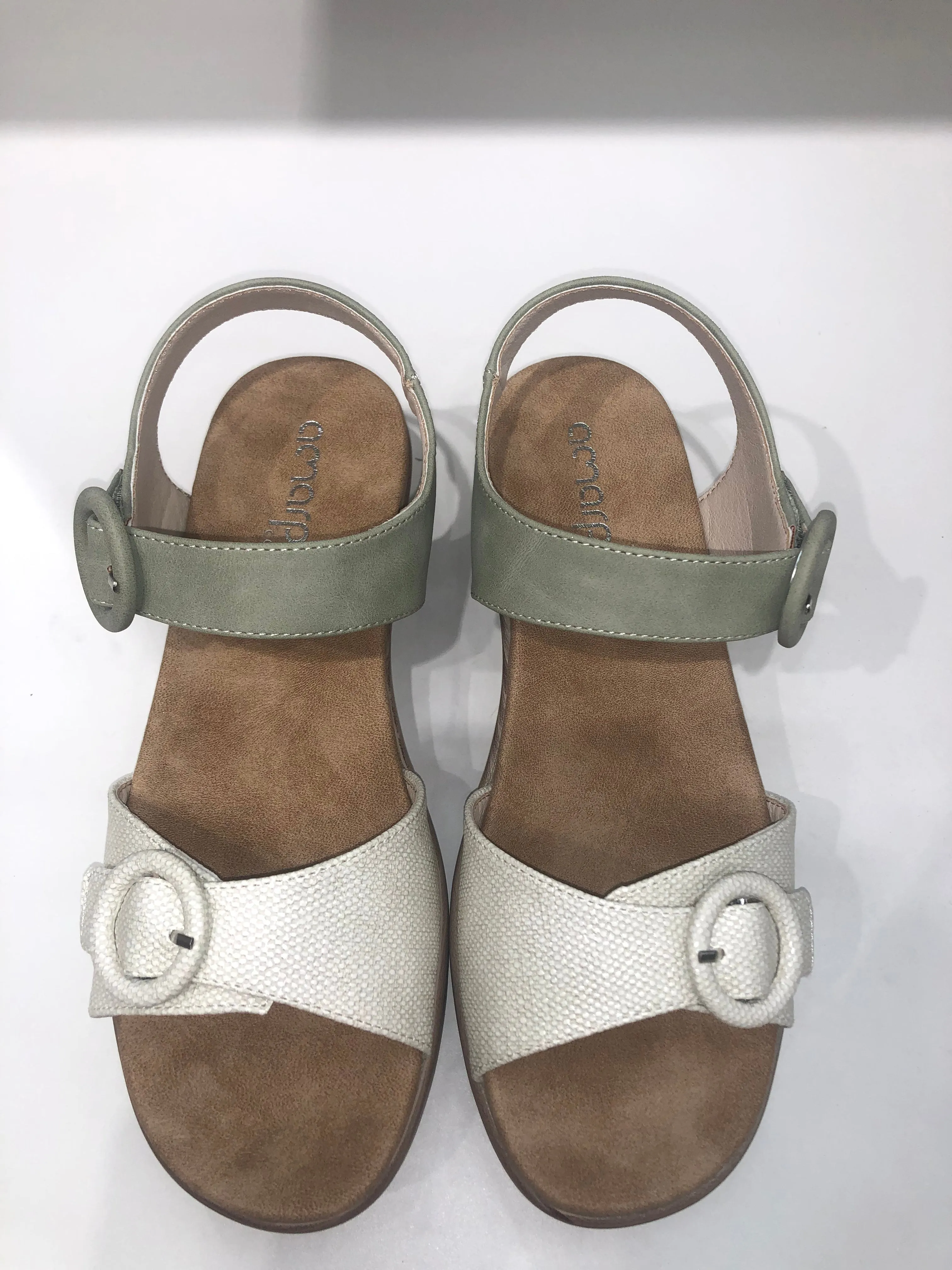 ABZ26568 GREEN
