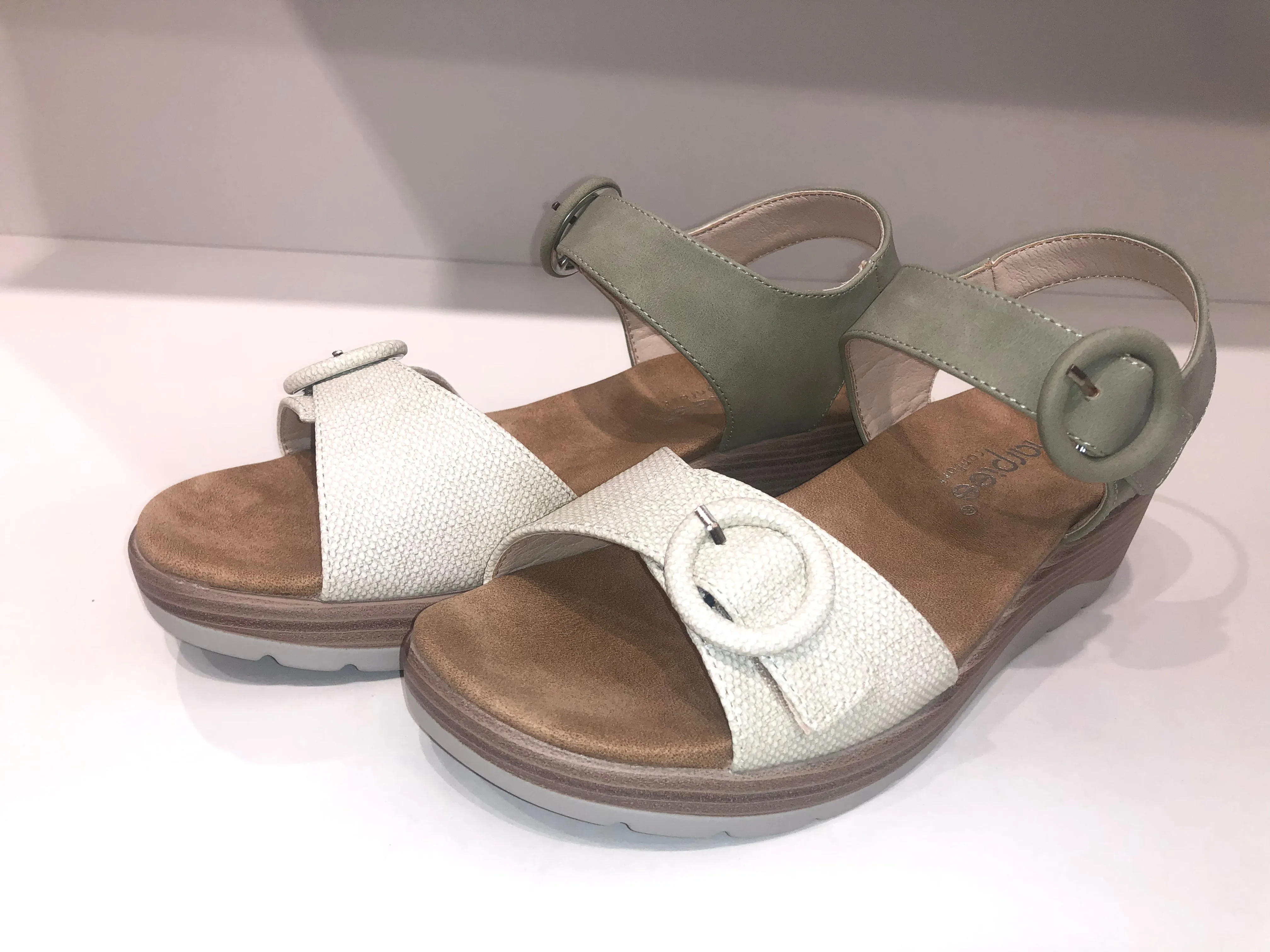 ABZ26568 GREEN