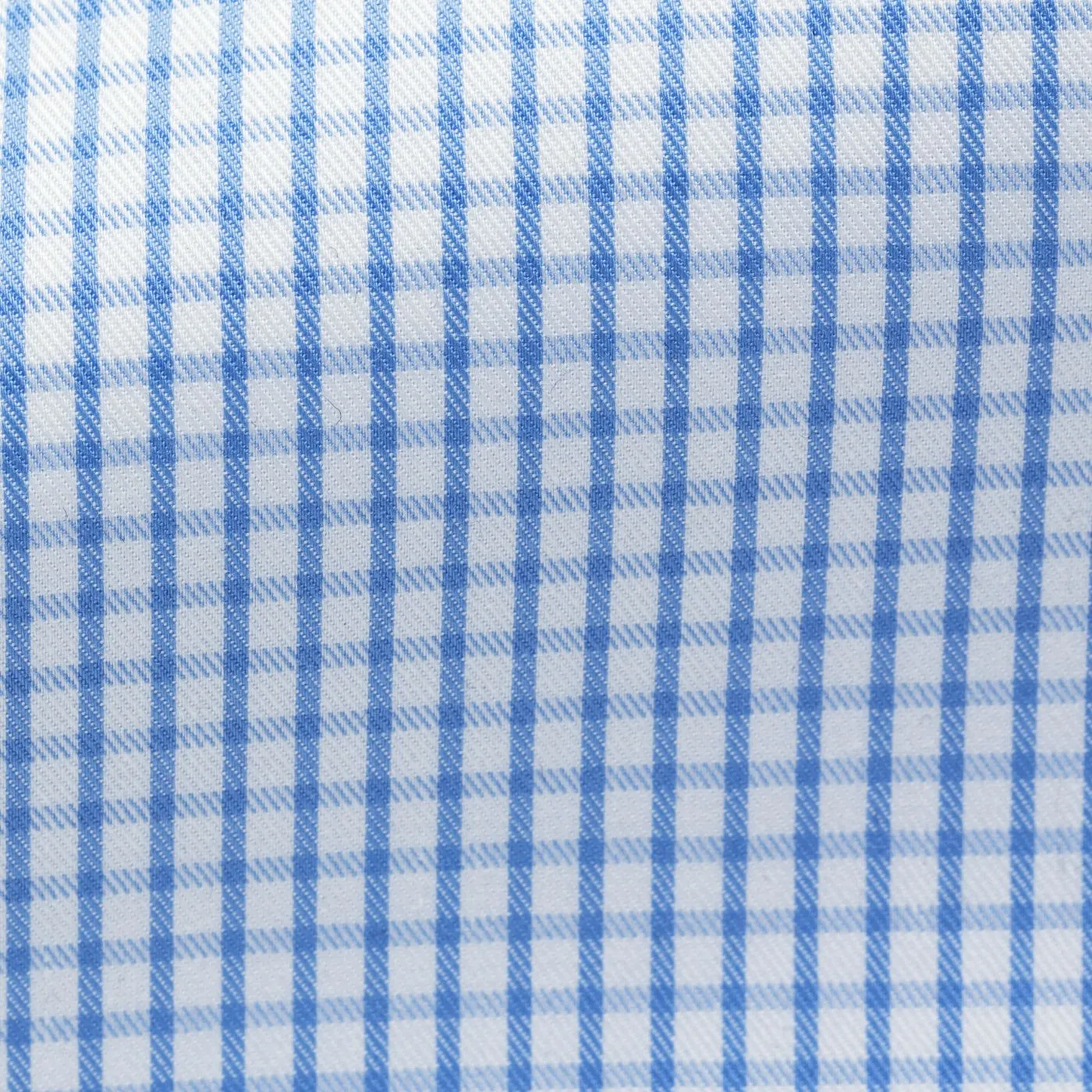 Albini White 365 Fine Twill Easy Care Cotton with Sky Blue Check