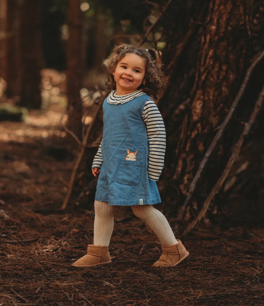 Blue Lilly And Friends Applique Dress