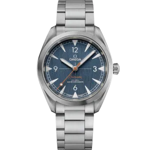 Omega Seamaster Railmaster 40mm steel on steel