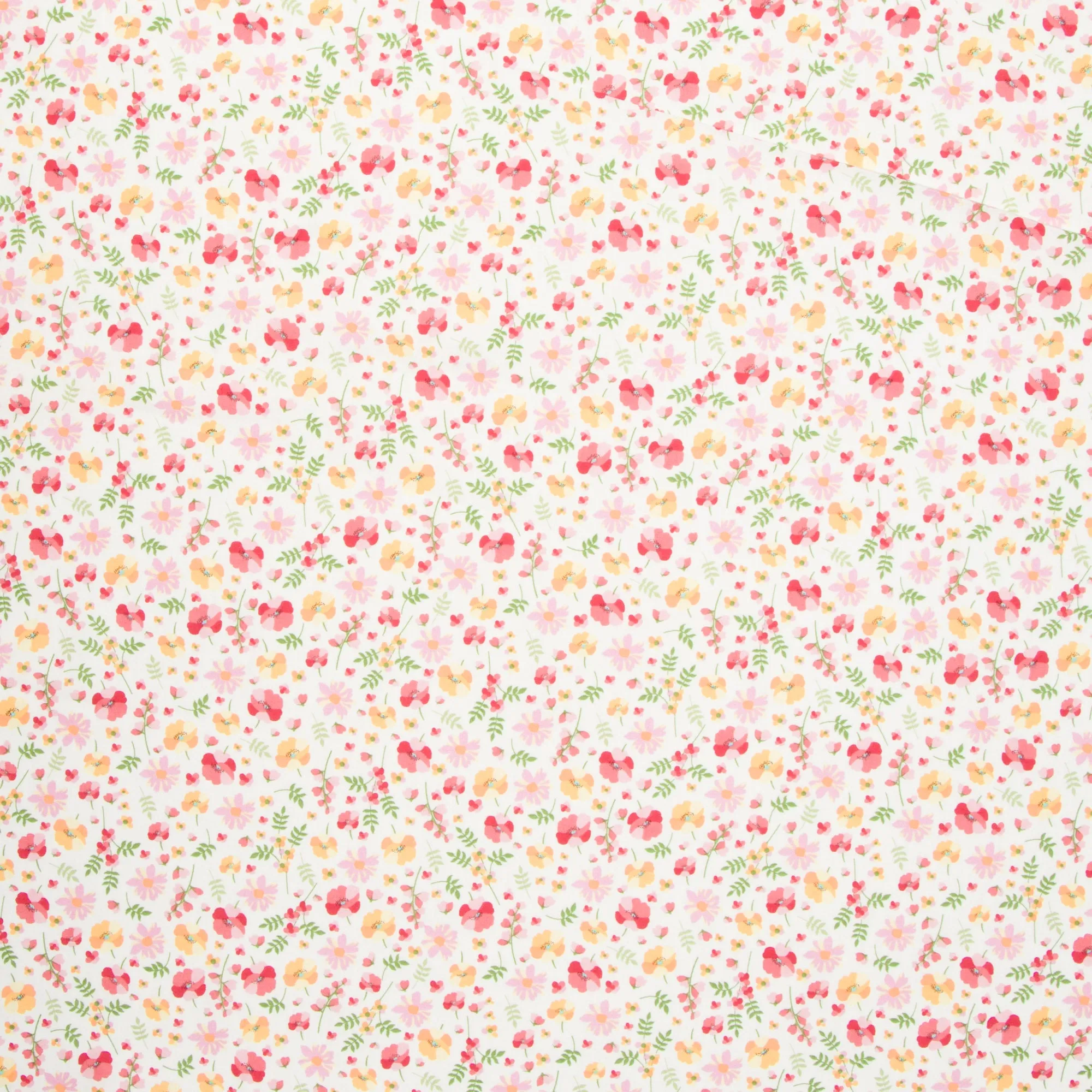 Printed Poplin Cotton 100% Des 06
