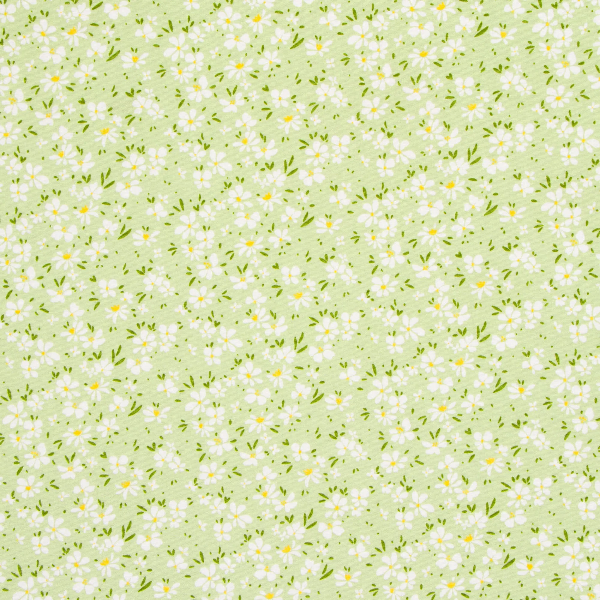 Printed Poplin Cotton 100% Des 9