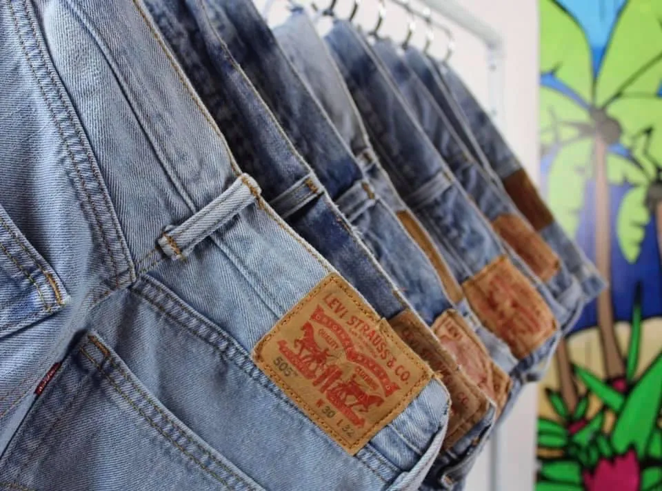 Upcycled Levi Shorts